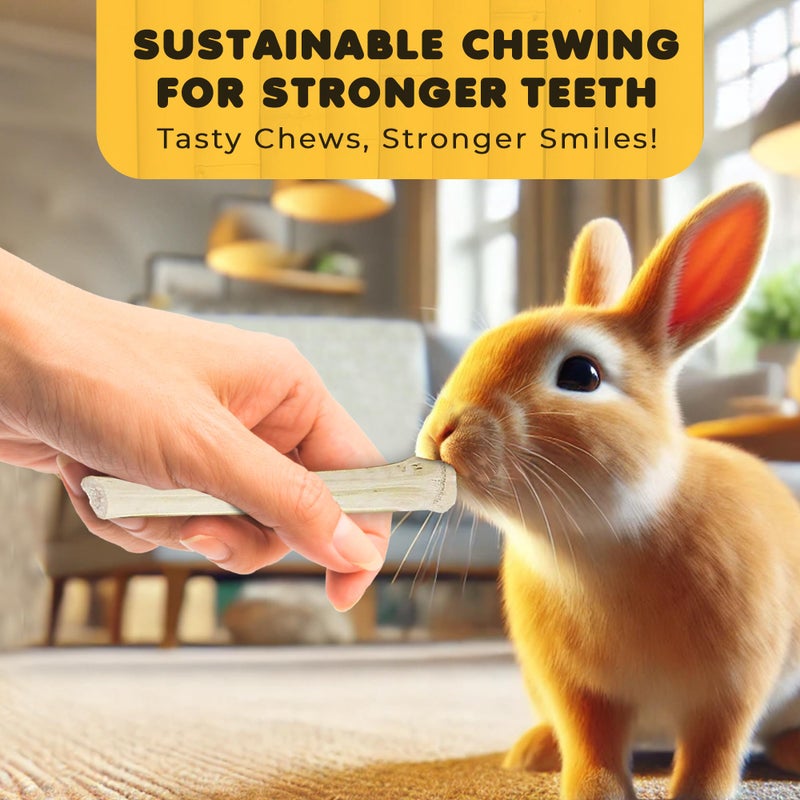 SunGrow Sweet Bamboo Chew Sticks for Rabbits, 100g (3.5 oz) Bunny Molar Chew Sticks for Guinea Pigs, Chinchillas, Gerbils, Hamsters and Small Animals - Image 4